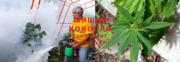 кокс Гусь-Хрустальный