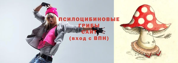 кокс Гусь-Хрустальный