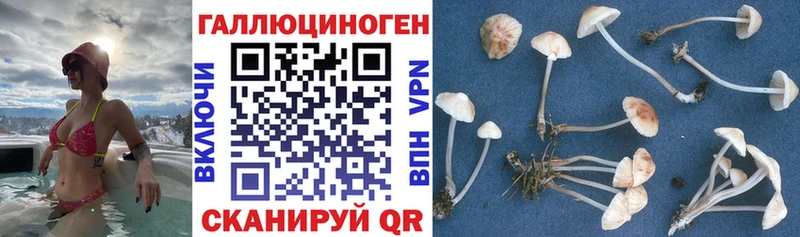 Галлюциногенные грибы мицелий  Купить  Комсомольск 